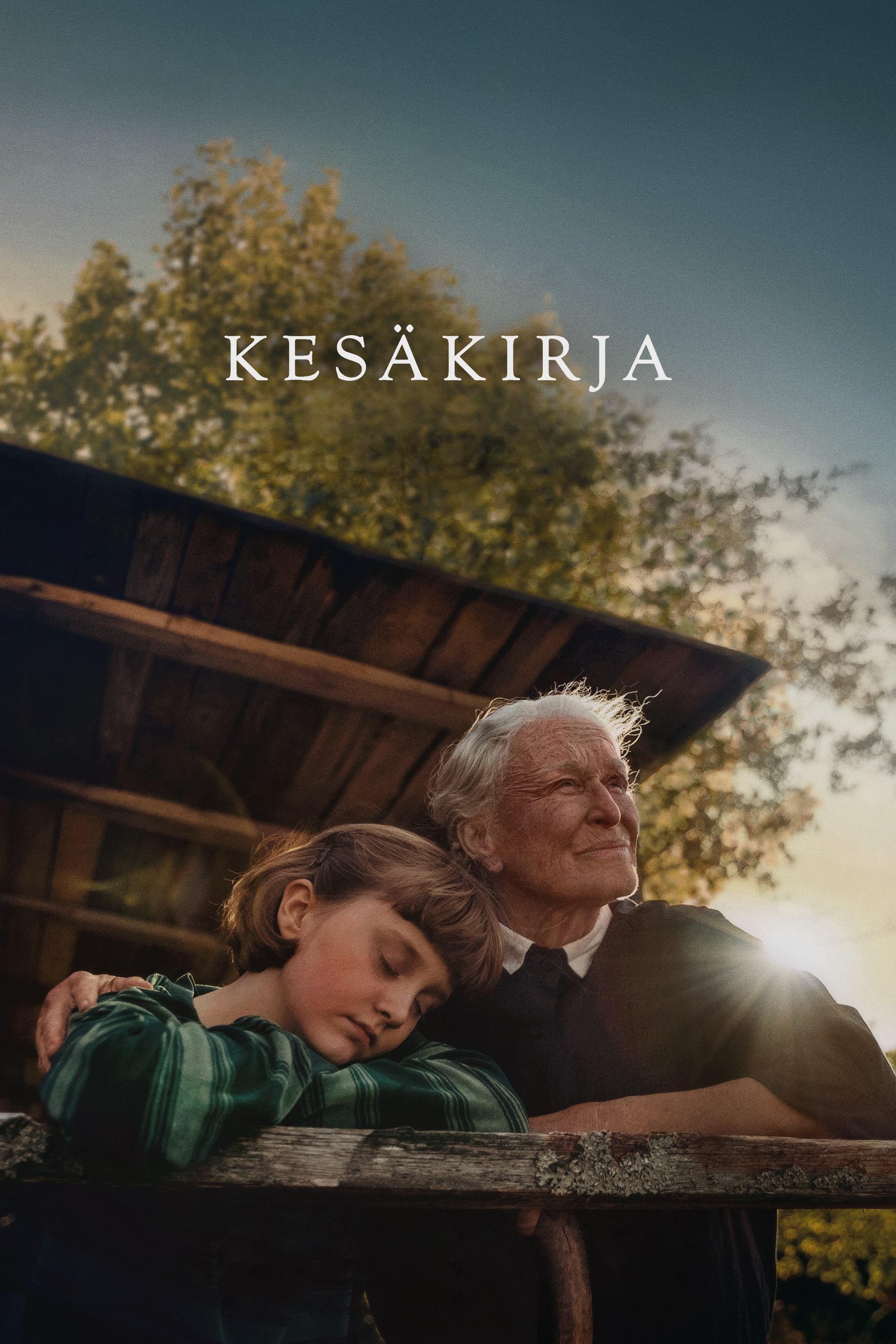 Постер The Summer Book